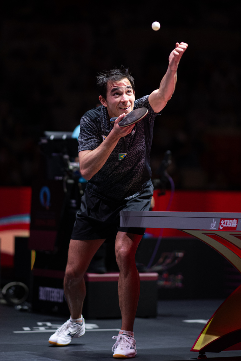 维斯塔潘公 维斯塔潘公