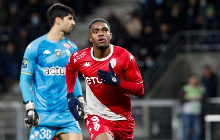 多点开花 多点开花